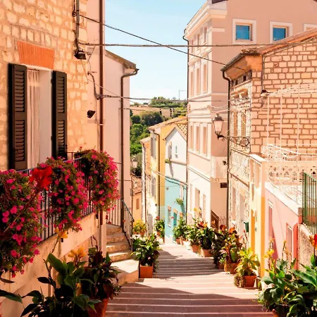 Tra Gli Olivi E La Riviera Del Conero Apartment Numana Exterior photo