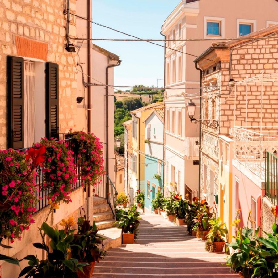 Tra Gli Olivi E La Riviera Del Conero Numana