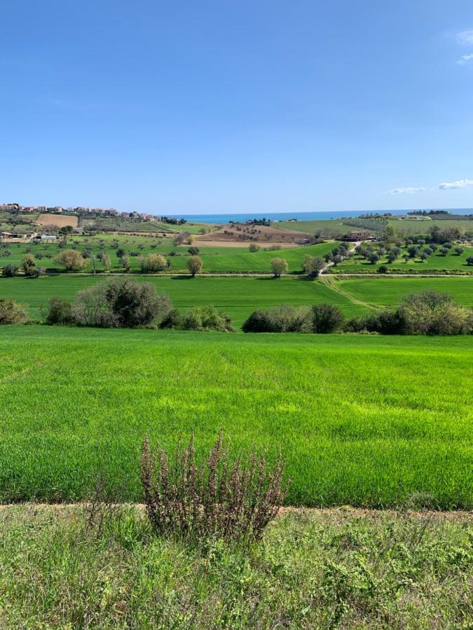 Apartment Tra Gli Olivi E La Riviera Del Conero *