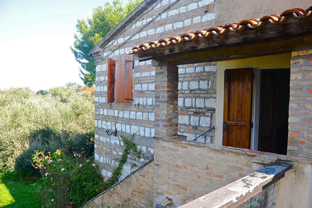 Tra Gli Olivi E La Riviera Del Conero Apartment *