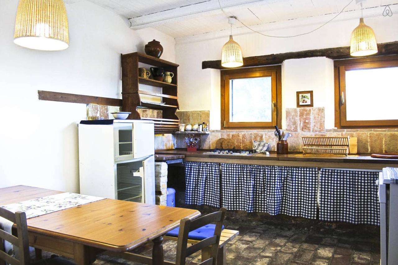 Apartment Tra Gli Olivi E La Riviera Del Conero