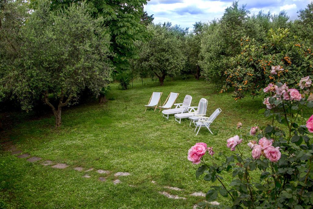 Apartment Tra Gli Olivi E La Riviera Del Conero *