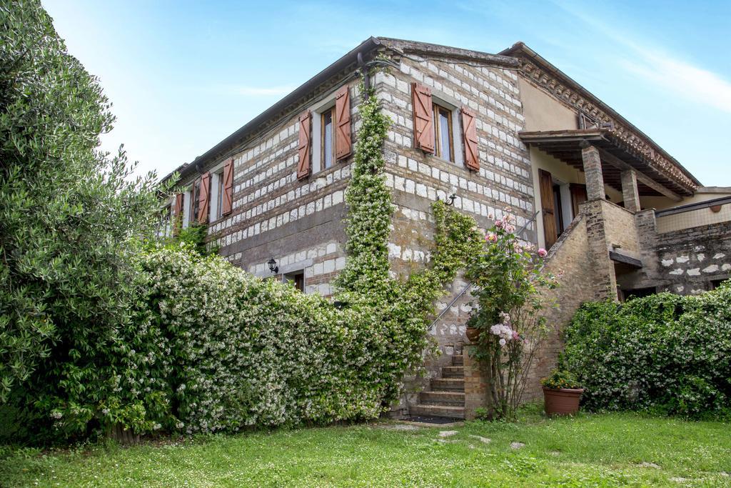 Apartment Tra Gli Olivi E La Riviera Del Conero *